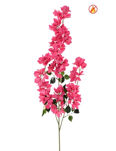 BOUGAINVILLEE SPRAY XFL FR - Fire Resistant