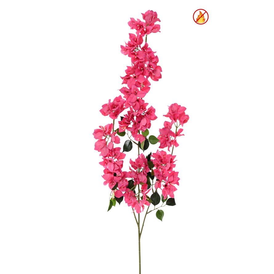 BOUGAINVILLEA SPRAY XFL FR – Feuerbeständig