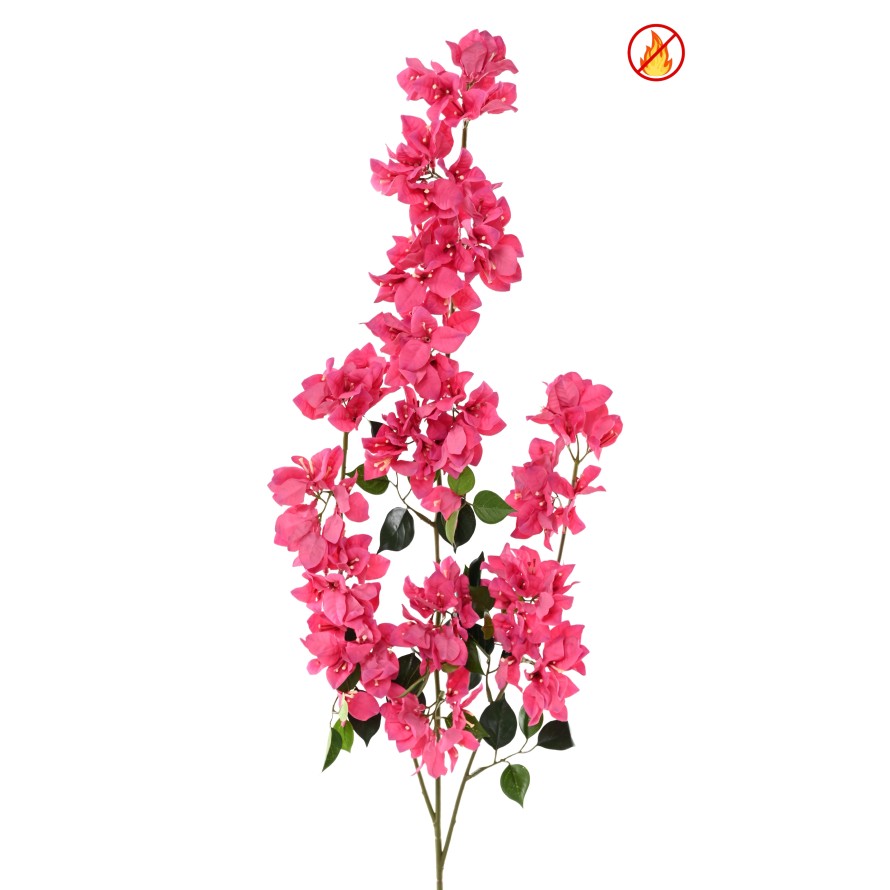BOUGAINVILLEA SPRAY XFL FR - Resistente al Fuego