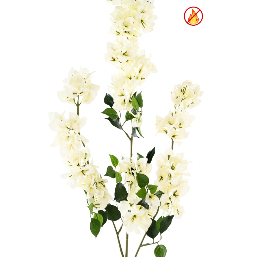 BOUGAINVILLEA SPRAY XFL FR - Fire-Resistant