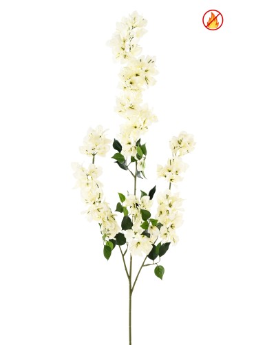 BOUGAINVILLEA SPRAY XFL FR - Fire-Resistant