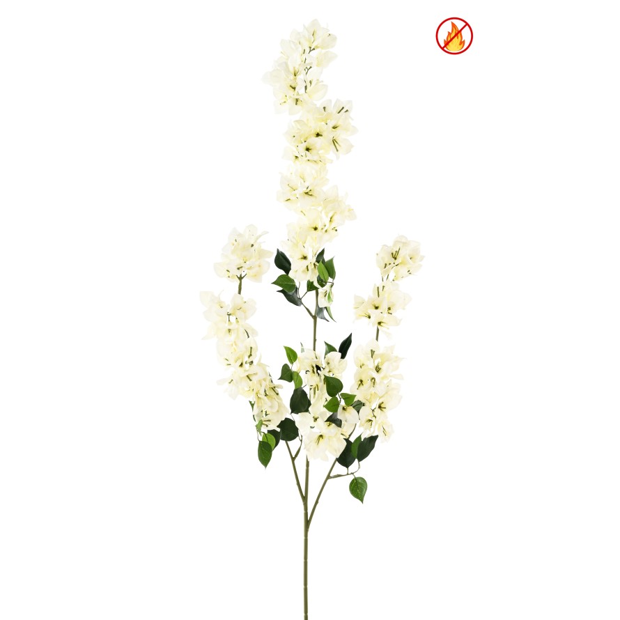 BOUGAINVILLEA SPRAY XFL FR - Fire-Resistant