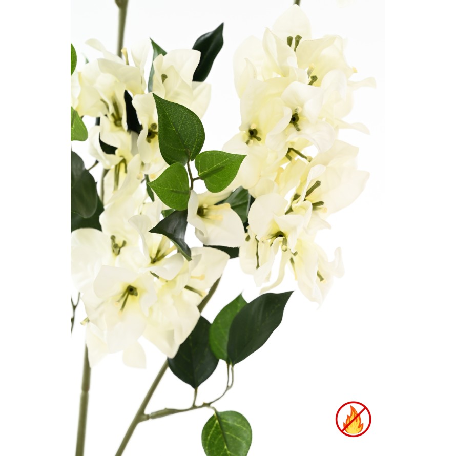 BOUGAINVILLEA SPRAY XFL FR - Fire-Resistant