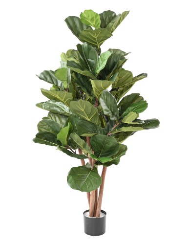 LYRATA BL 150