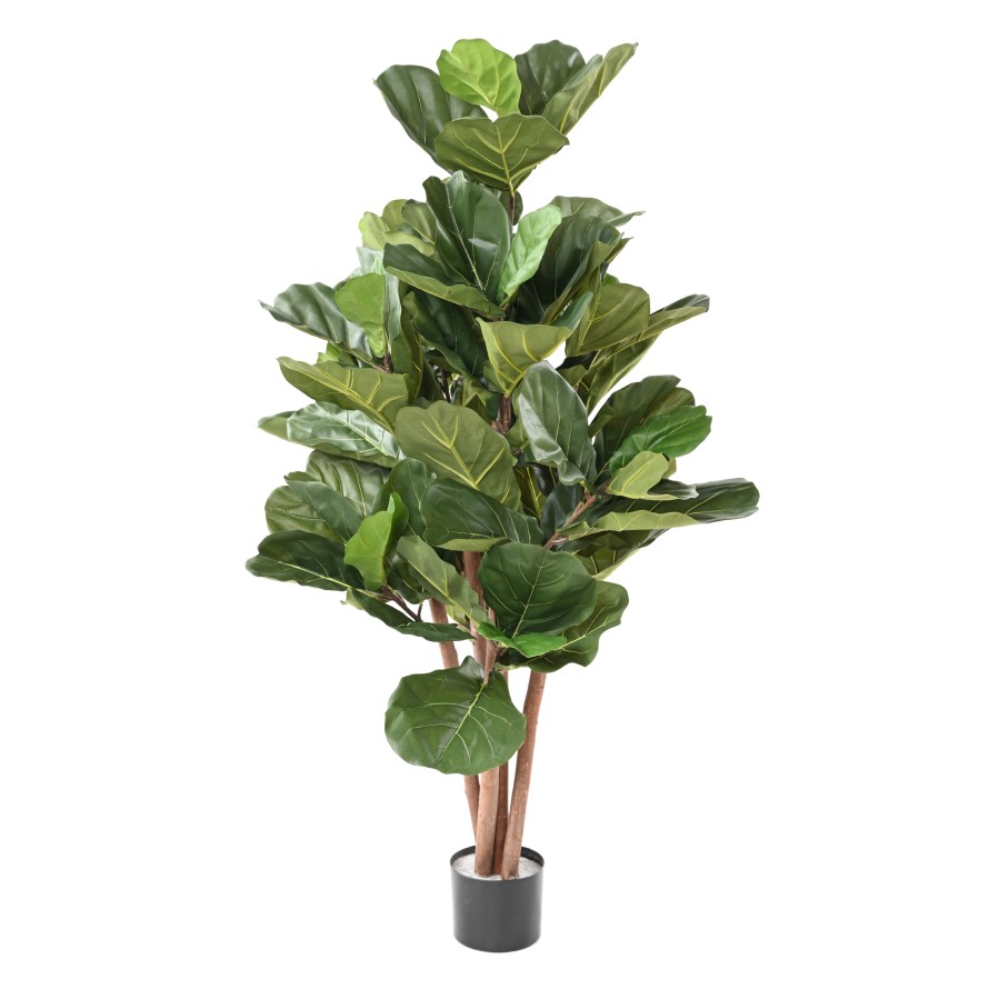 LYRATA BL 150