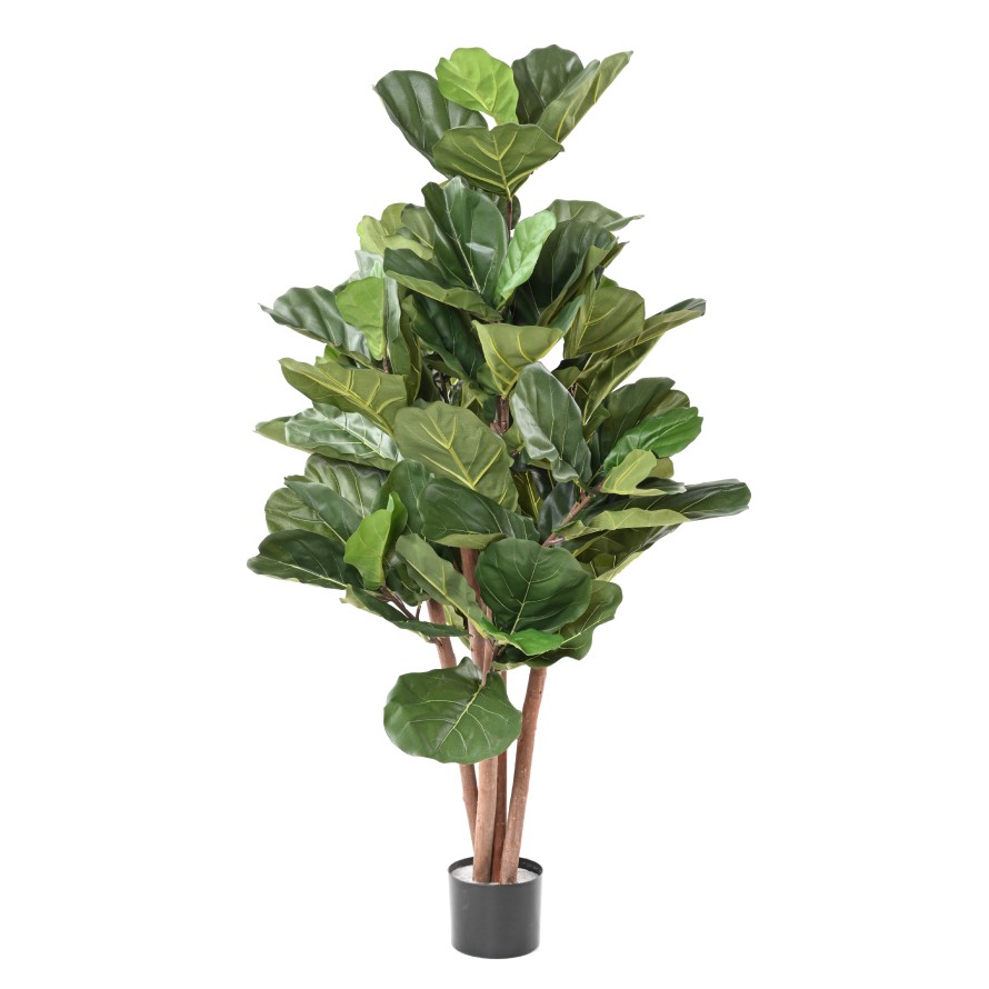 LYRATA BL 150
