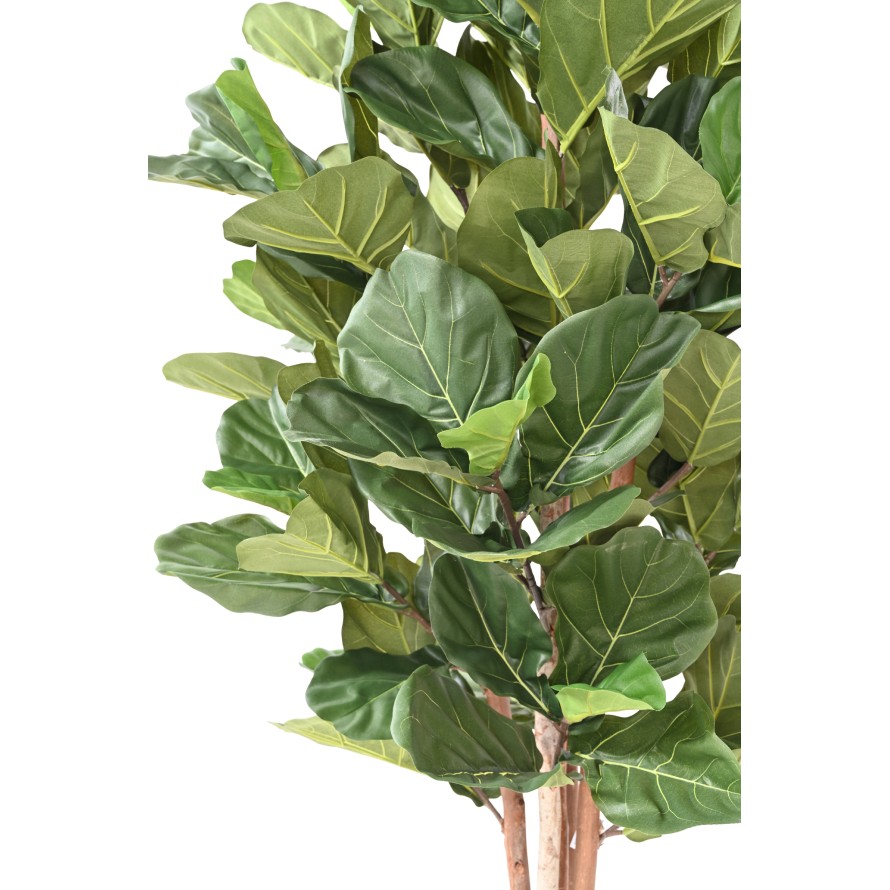 LYRATA BL 210