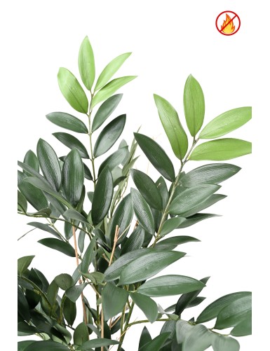RUSCUS POT FR - Fire Resistant