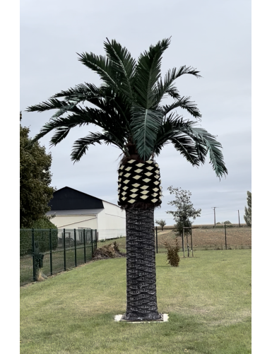 KÖNIGSPALME 5M30
