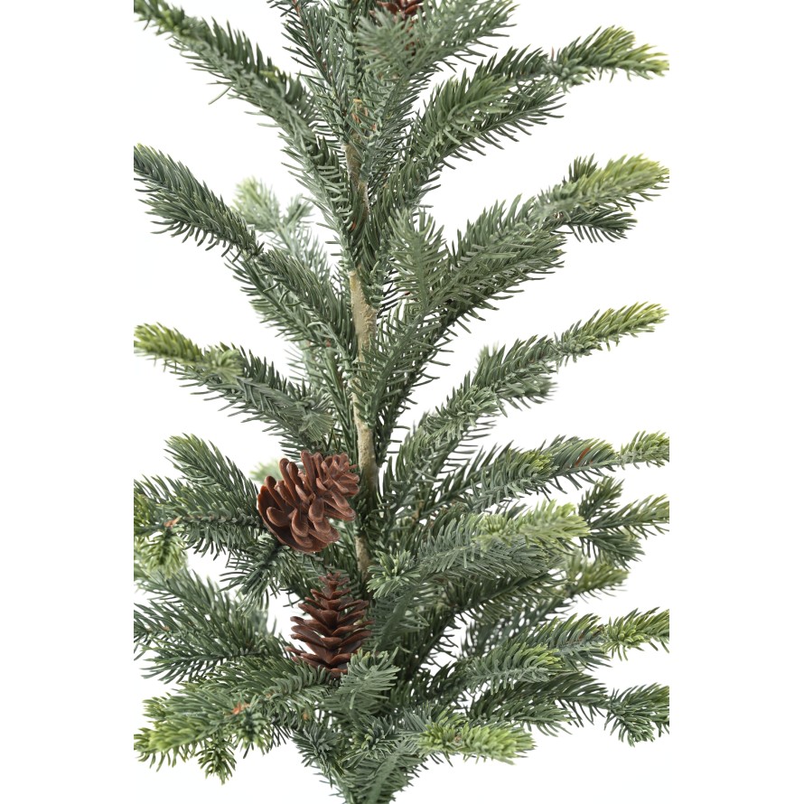 PICEA 78