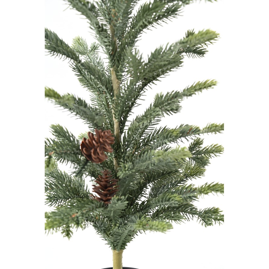 PICEA 78