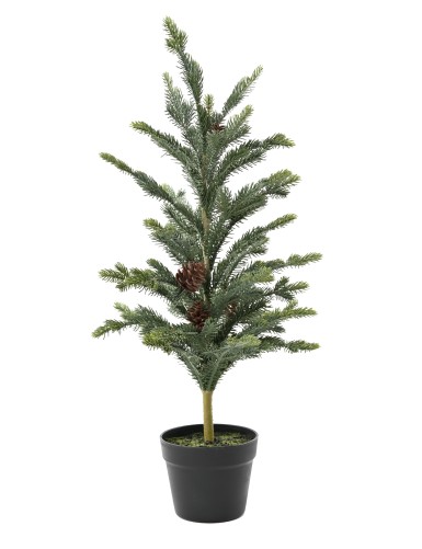 PICEA 78