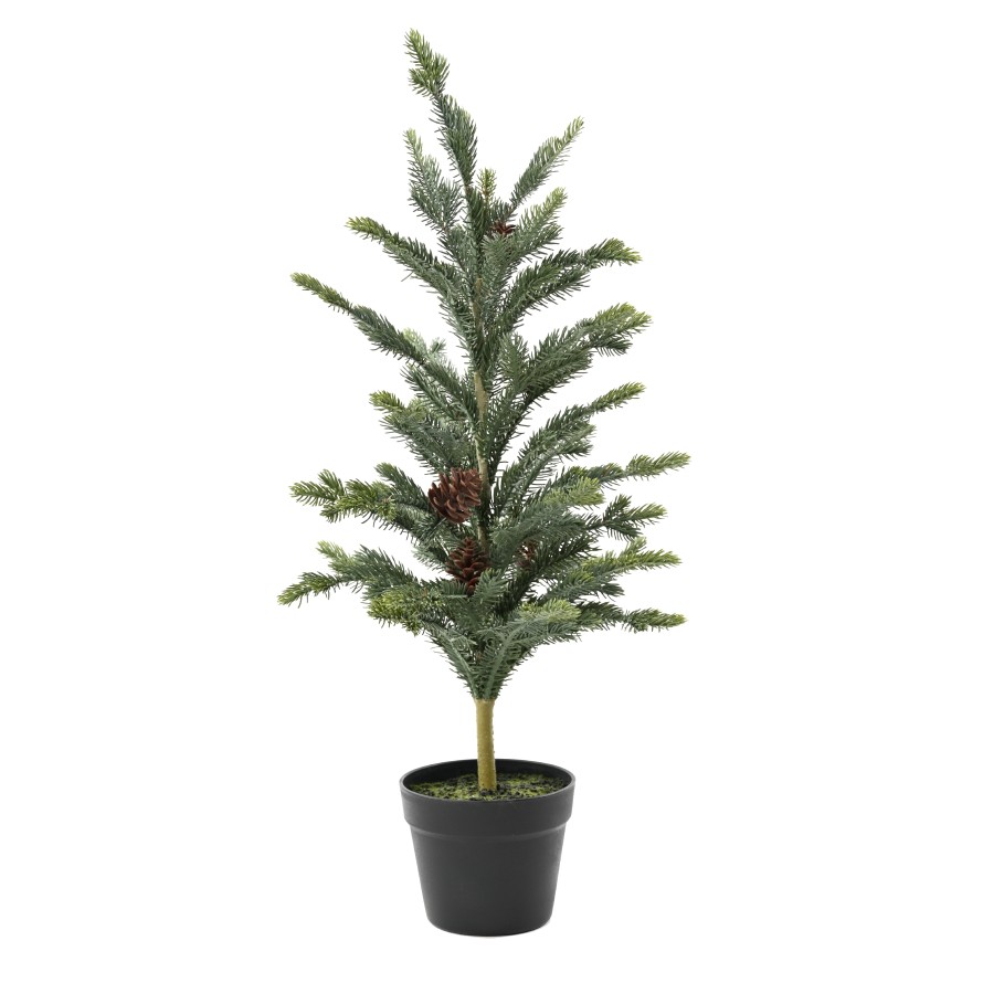 PICEA 78