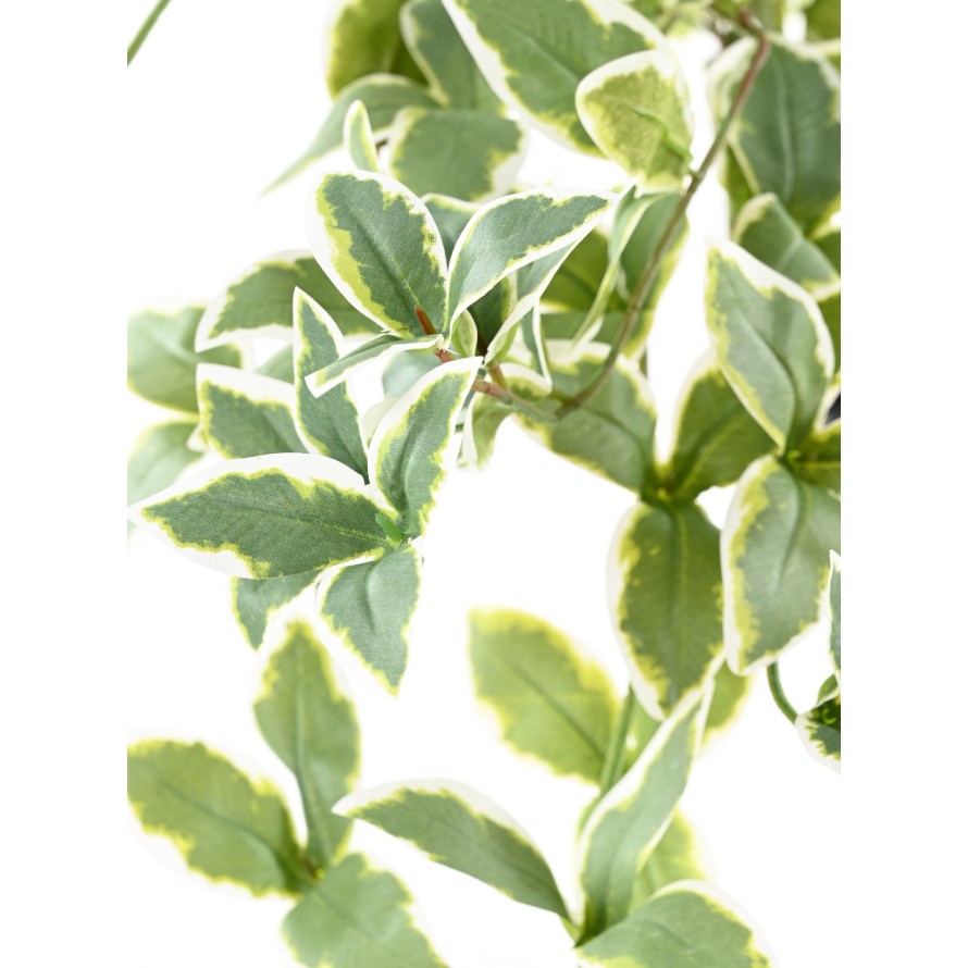 VINCA COLGANTE 110