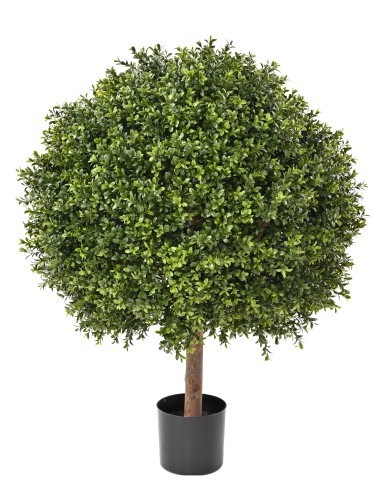 BOXWOOD BALL NEW