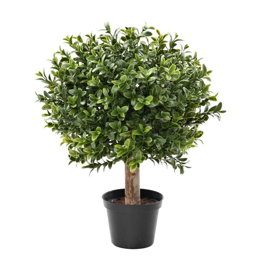 BOXWOOD BALL NEW