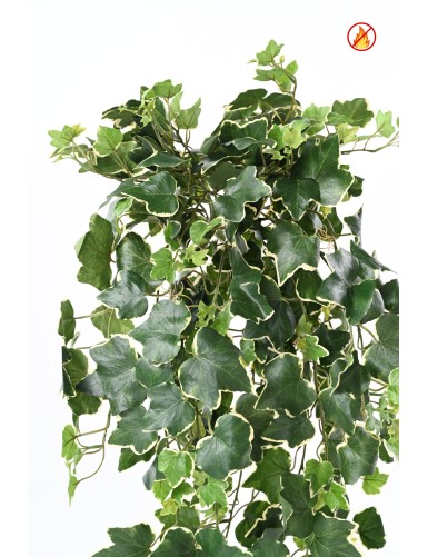 IVY GALA *331 FR - Fire Resistant