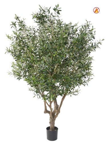 OLIVE TREE LARGE OL FR - Fire Resistant