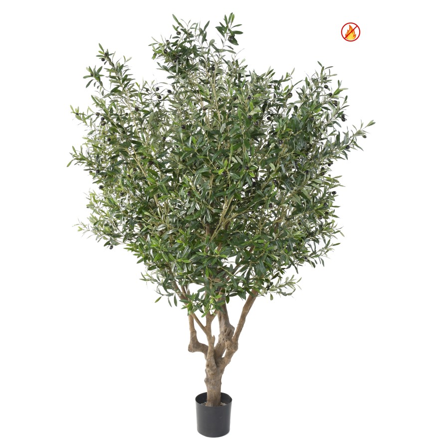 OLIVO LARGE OL FR - Resistente al Fuego