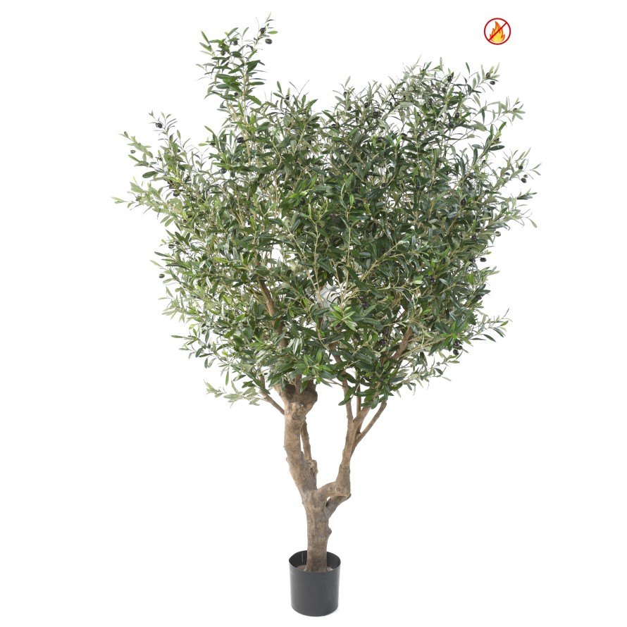 OLIVE TREE LARGE OL FR - Fire Resistant