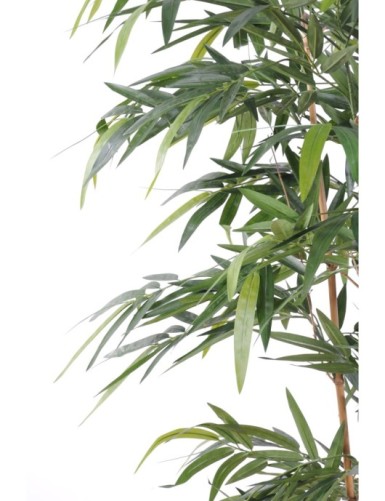 BAMBUS NEW UV-BESTÄNDIG