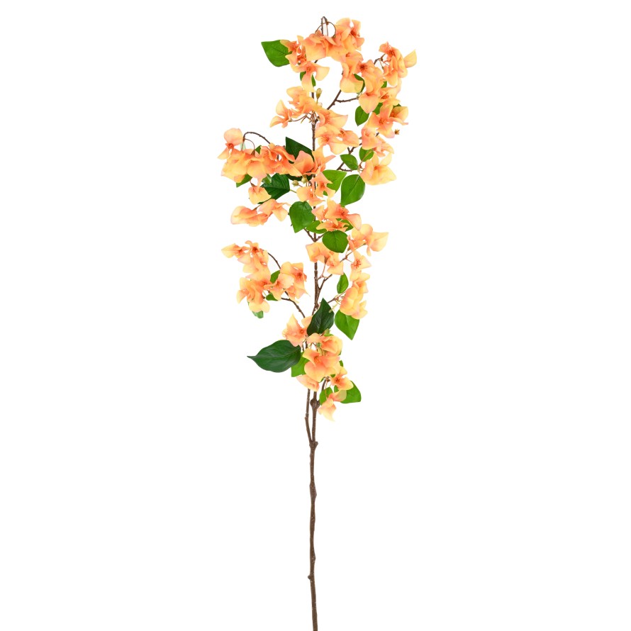 BOUGAINVILLEA-ZWEIG 1M15