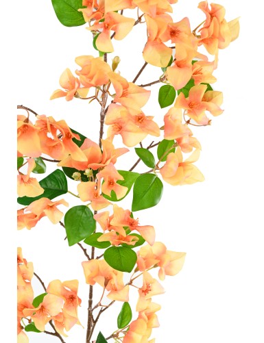 BOUGAINVILLEE SPRAY 1M15
