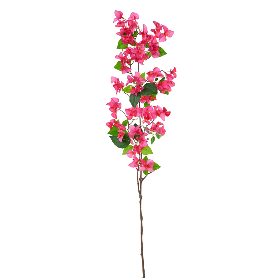 BOUGAINVILLEA-ZWEIG 1M15