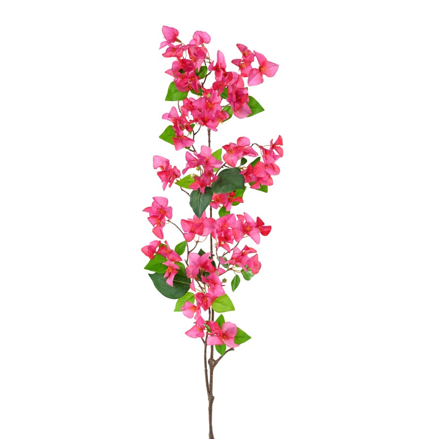 BOUGAINVILLEA-ZWEIG 1M15