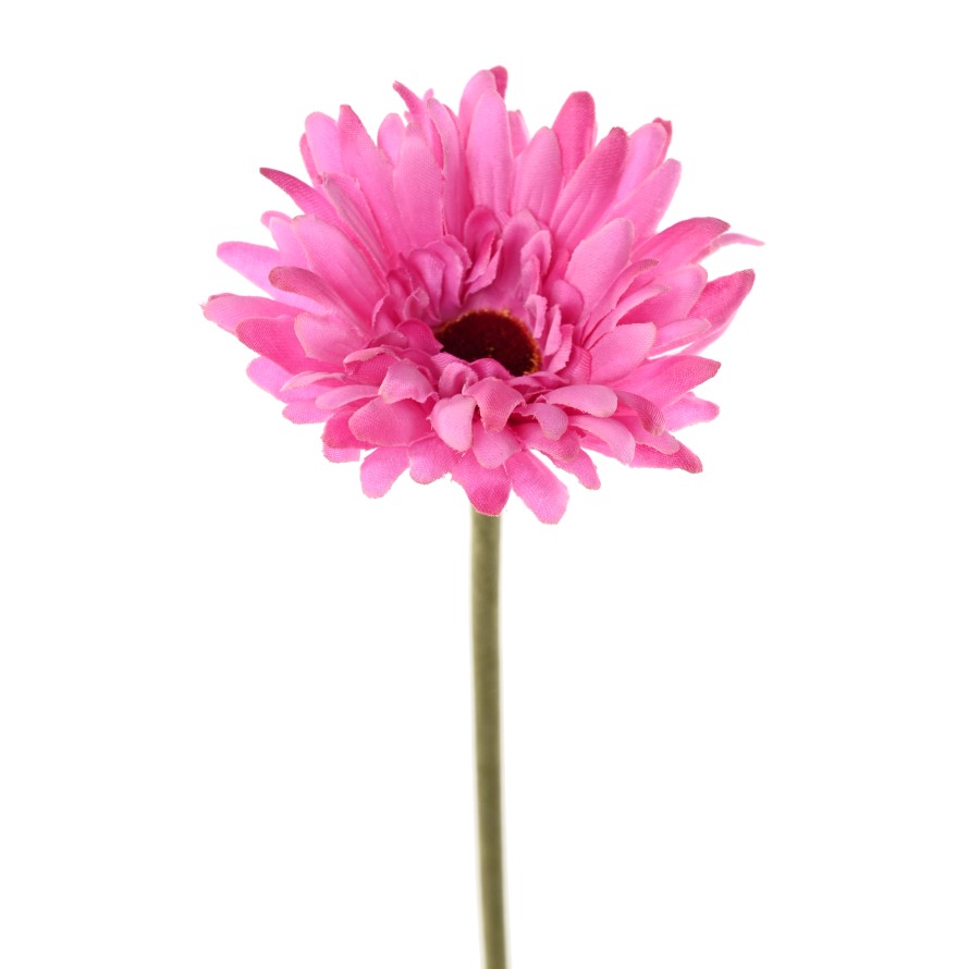 GERBERA
