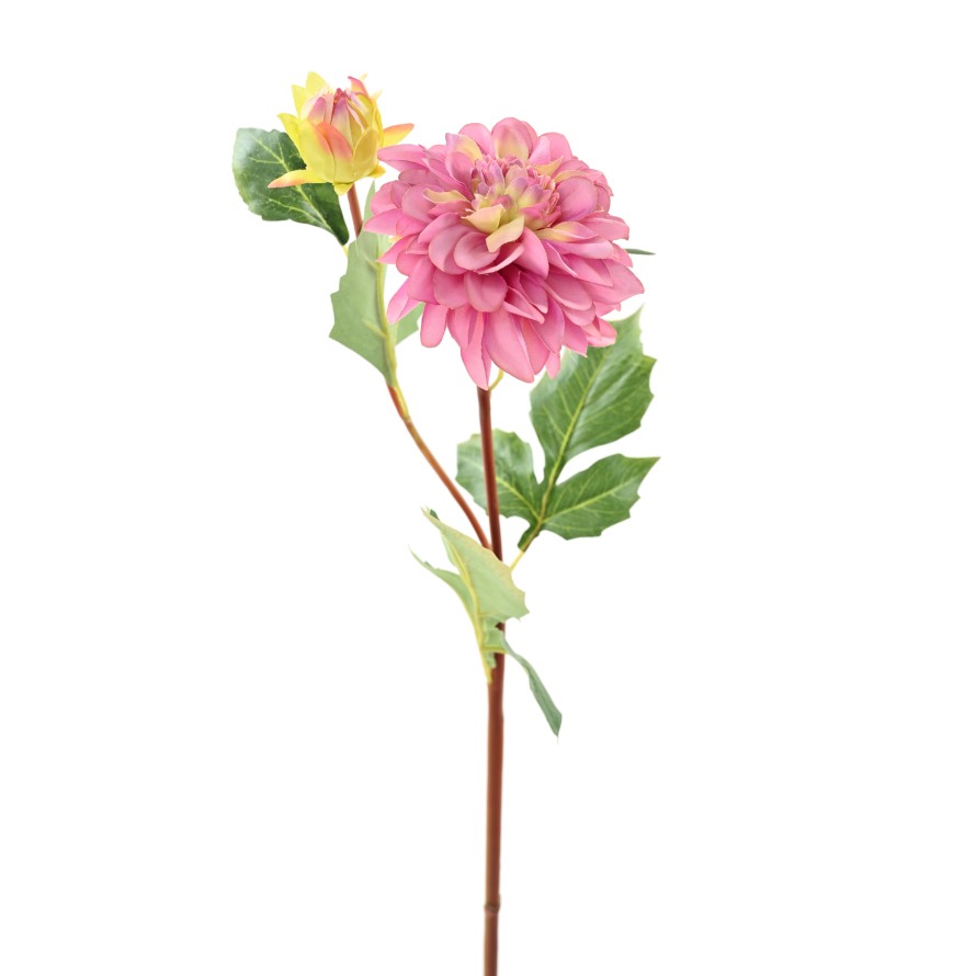 PEONY BUDS 82