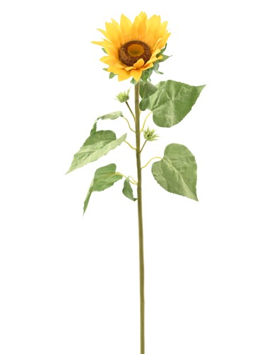 SONNENBLUME 88