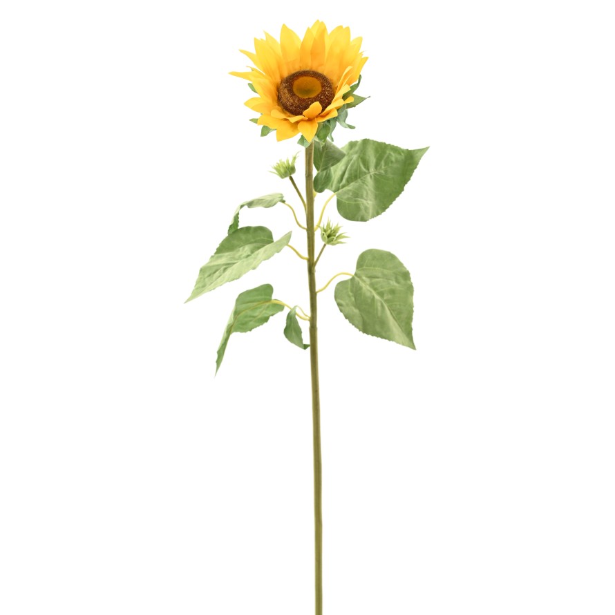 SONNENBLUME 88