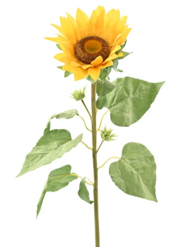 GIRASOL 88