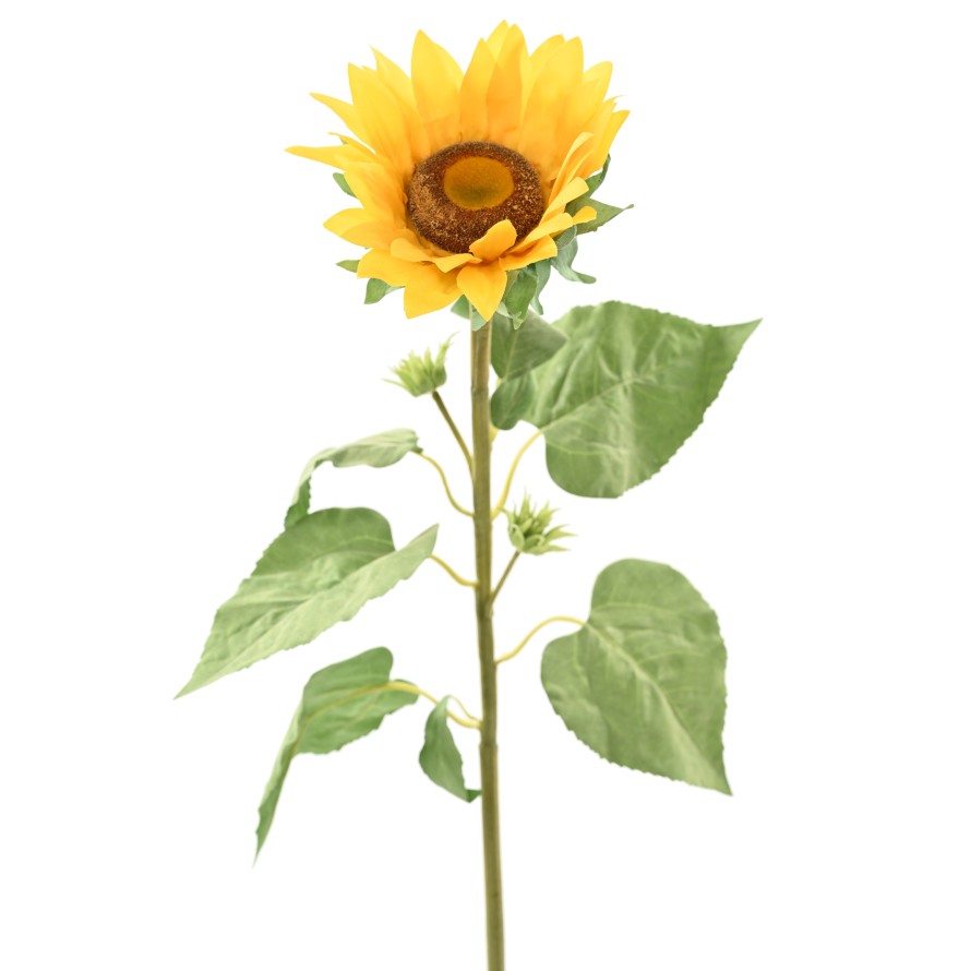 SUNFLOWER 88