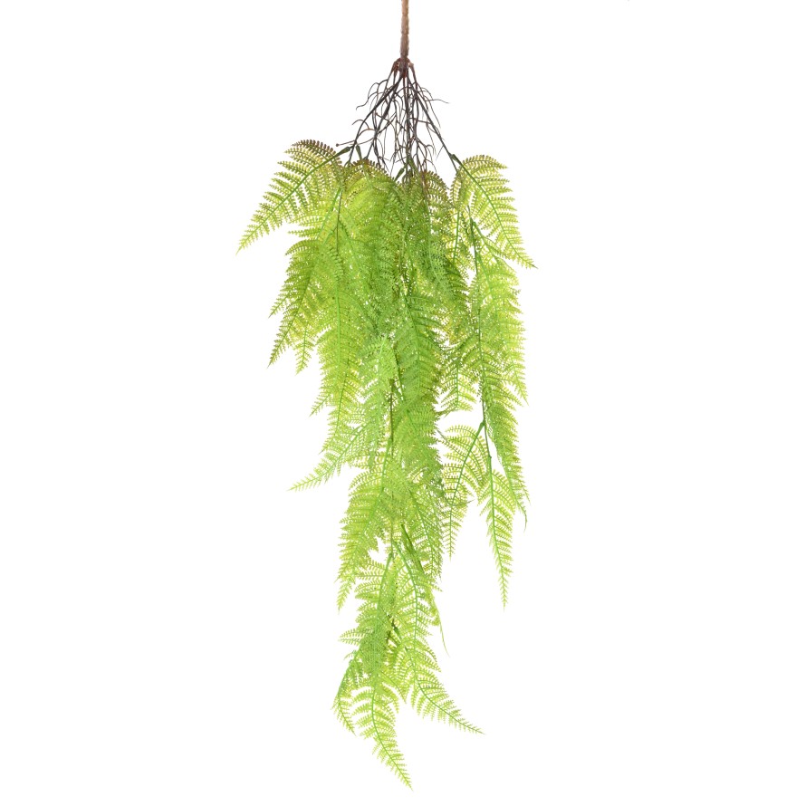 HELECHO ATHYRIUM 92