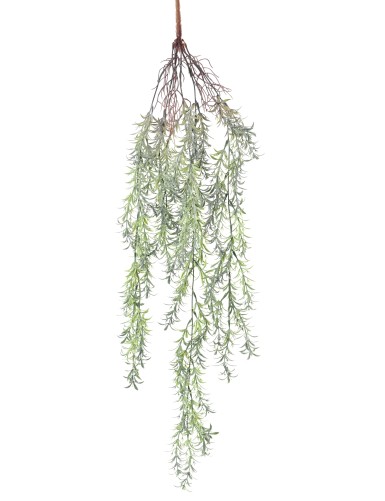 TAXUS 84
