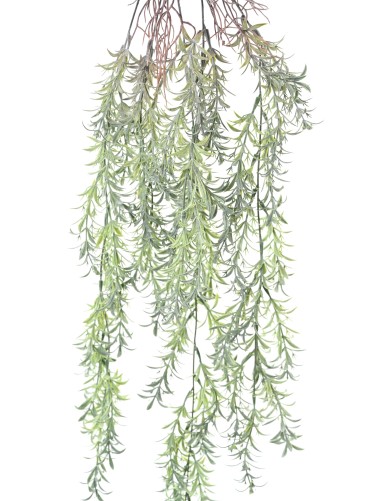 TAXUS 84