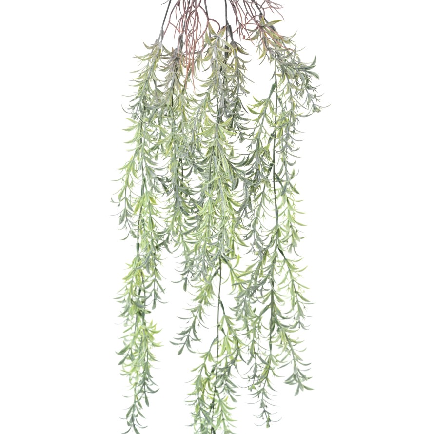 TAXUS 84