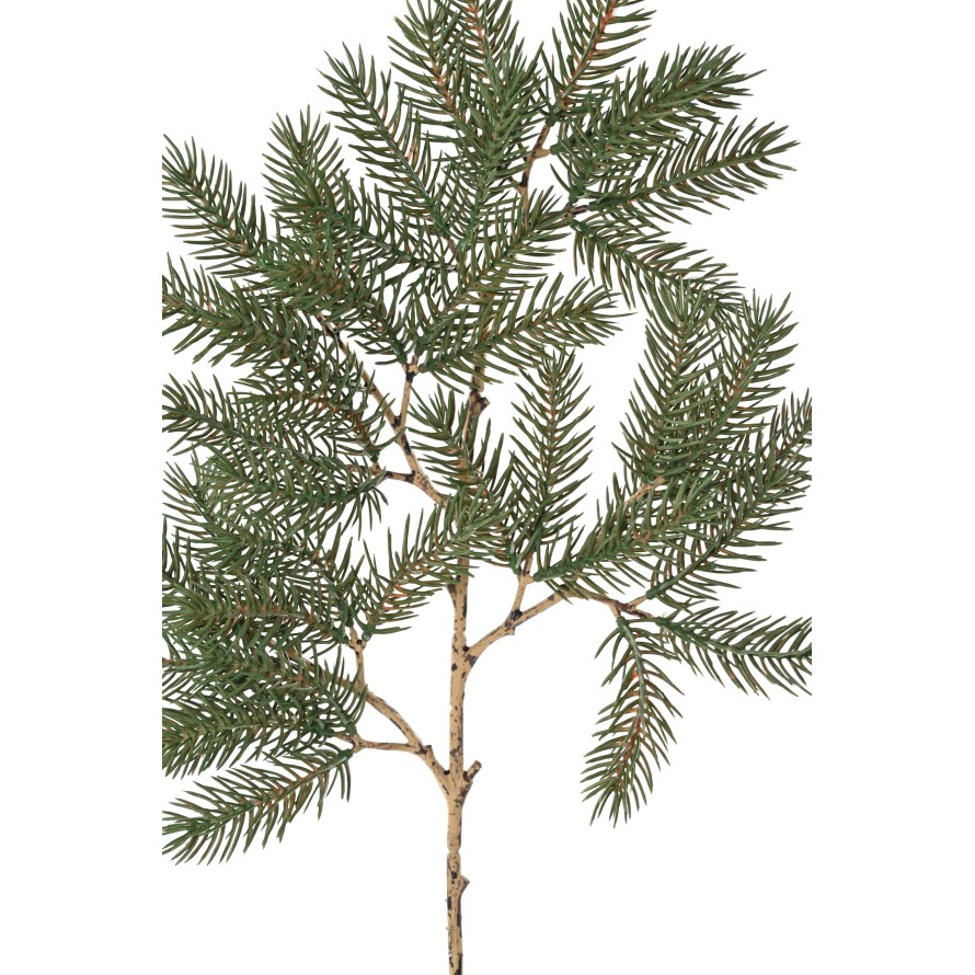 PINE 57