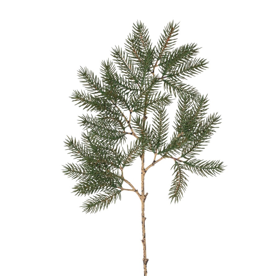 PINE 57