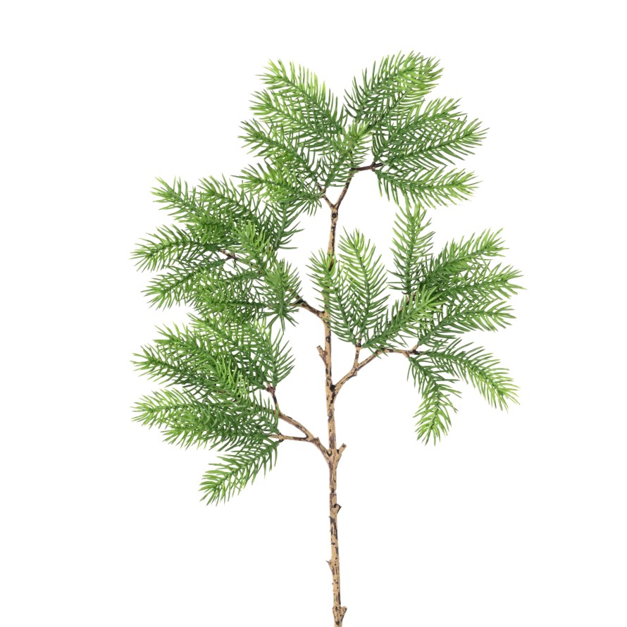 PINUS 57