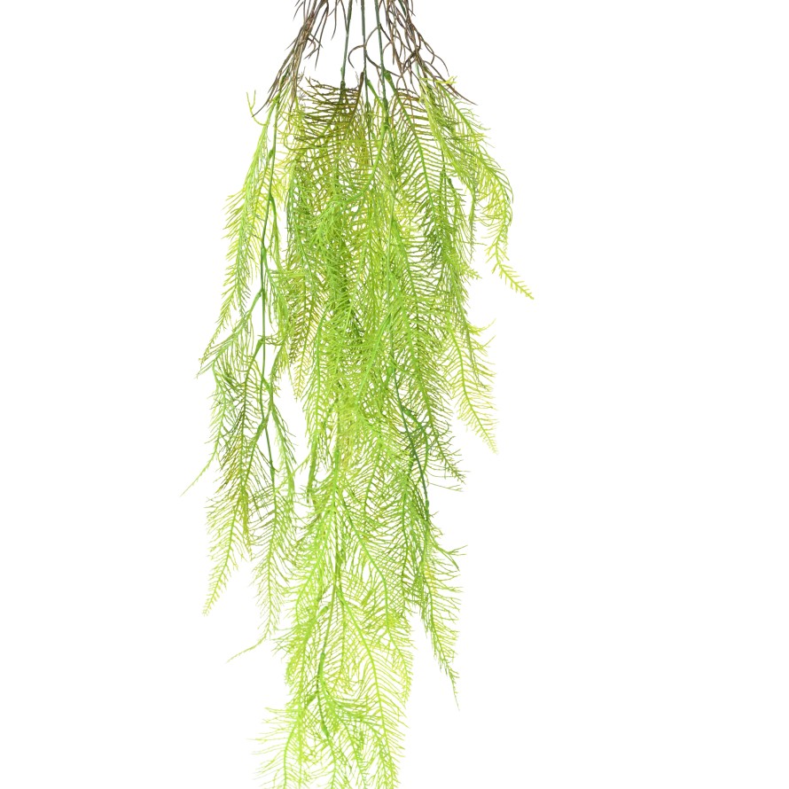 WATERMILFOIL 95