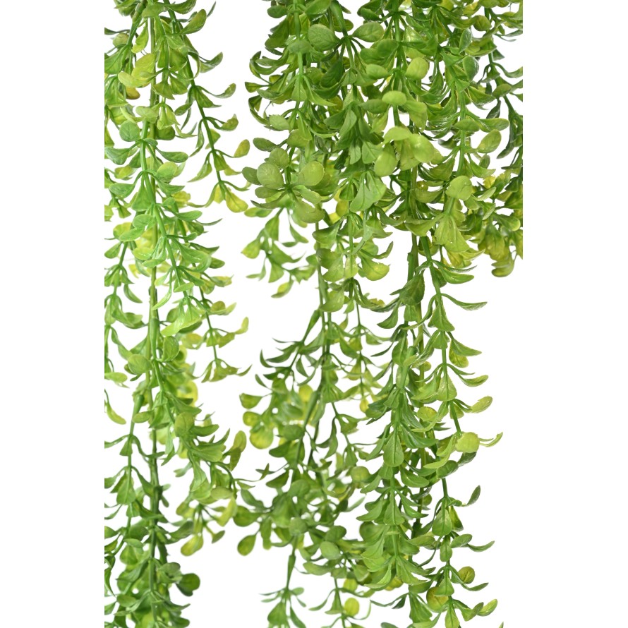 WATERWORT 84