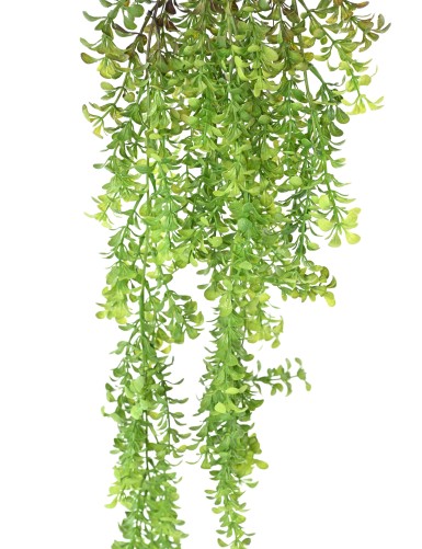 WATERWORT 84