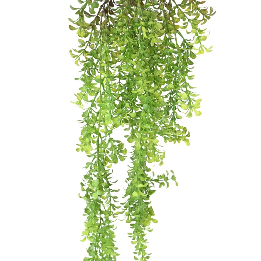 WATERWORT 84