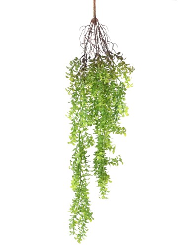 WATERWORT 84