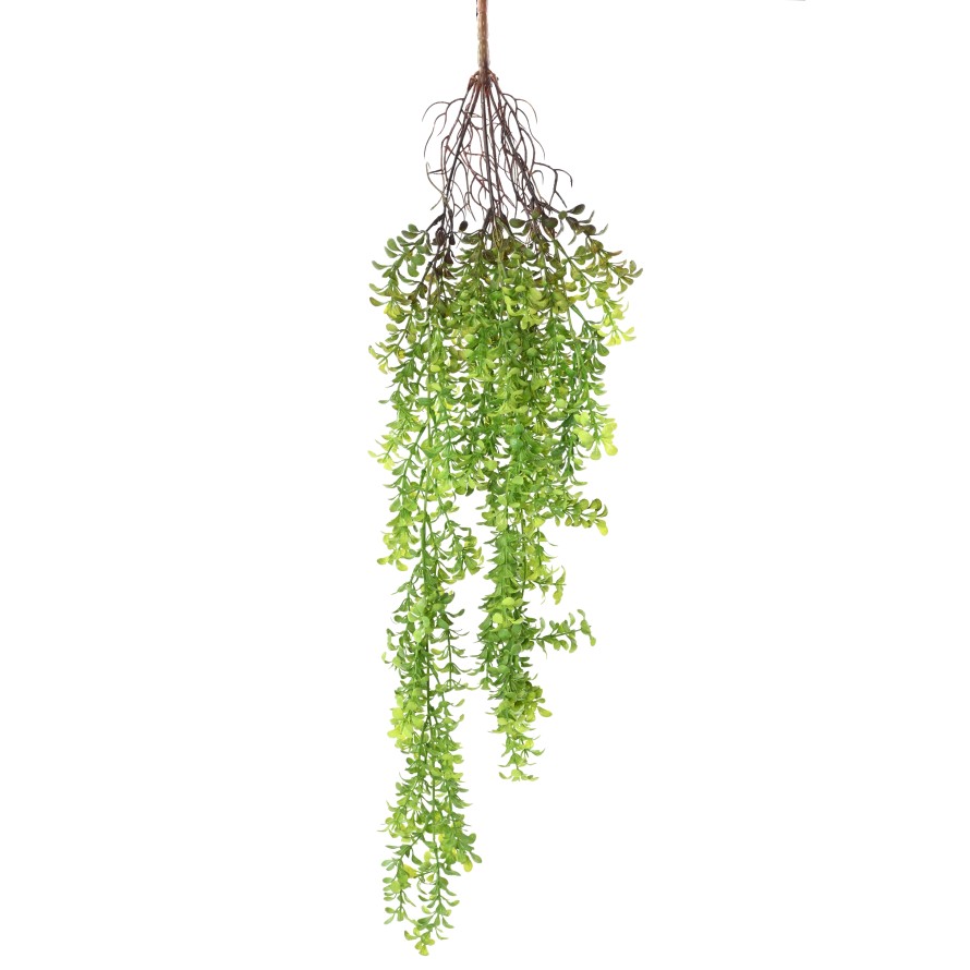 WATERWORT 84