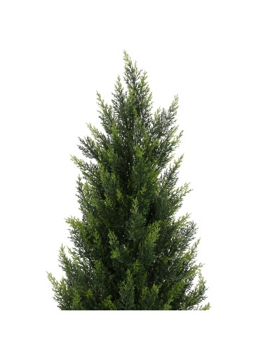 CYPRES NR 160 UV Resistant