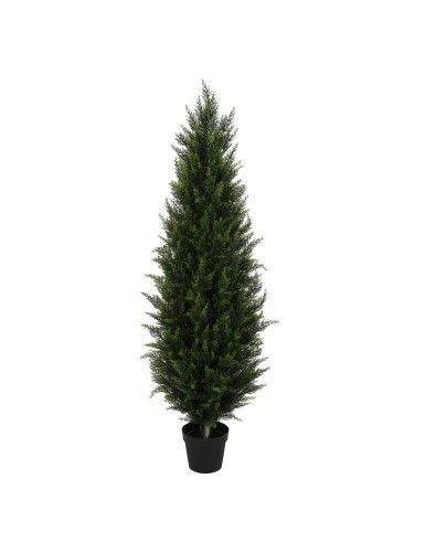 CYPRES NR 160 UV Resistant